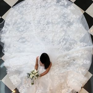 Tony Ward Chara wedding dress size 6